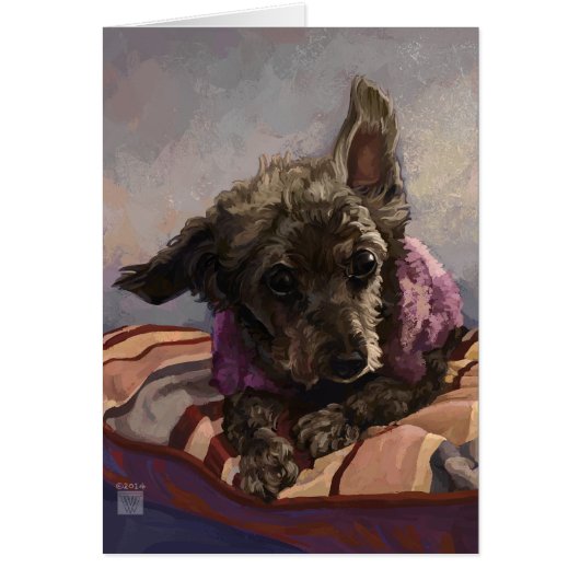 Misty the Poodle Cards (Front)