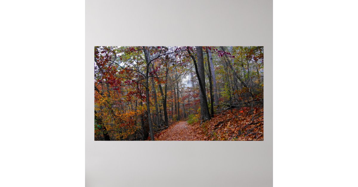 Misty Trail in the Colorful Autumn Forest Poster | Zazzle
