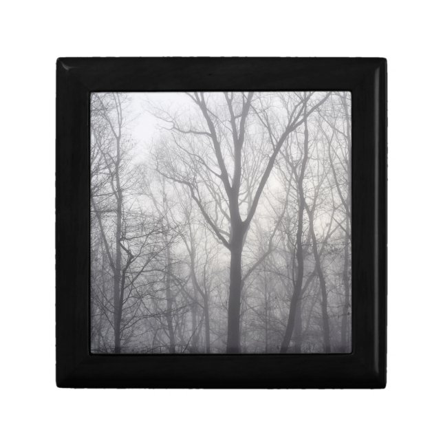 Misty Trees Grey Woodland Gift Box (Front)
