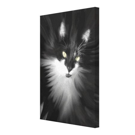Misty Tuxedo Cat Canvas Print