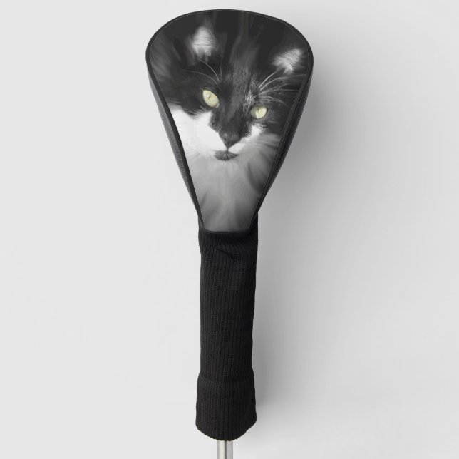 Misty Tuxedo Cat Golf Head Cover (Front)