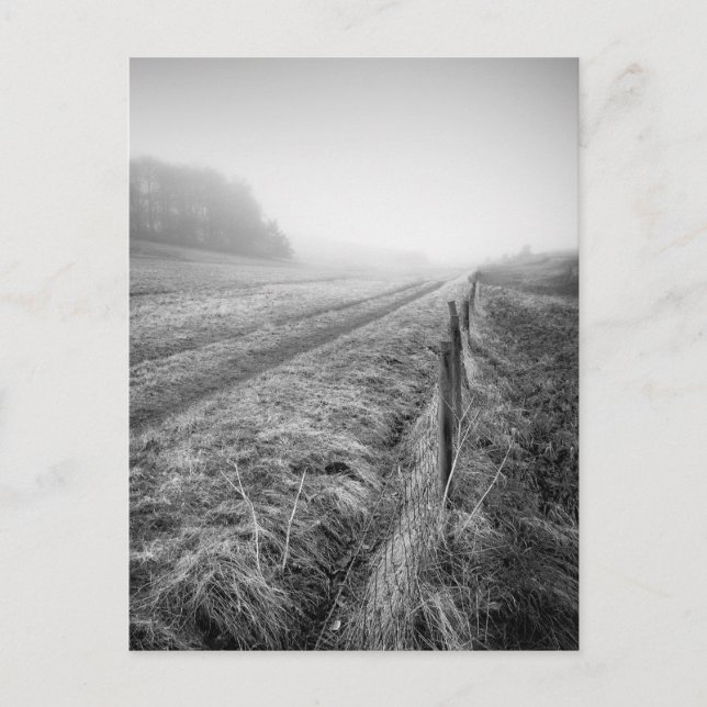 Misty Wiltshire Field postcard (Front)