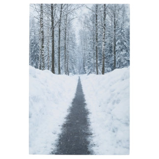 Misty Winter Forest Path Winter Landscape Metal Ar Print