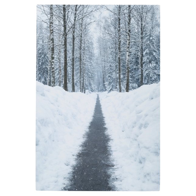 Misty Winter Forest Path Winter Landscape Metal Ar Print (Front)