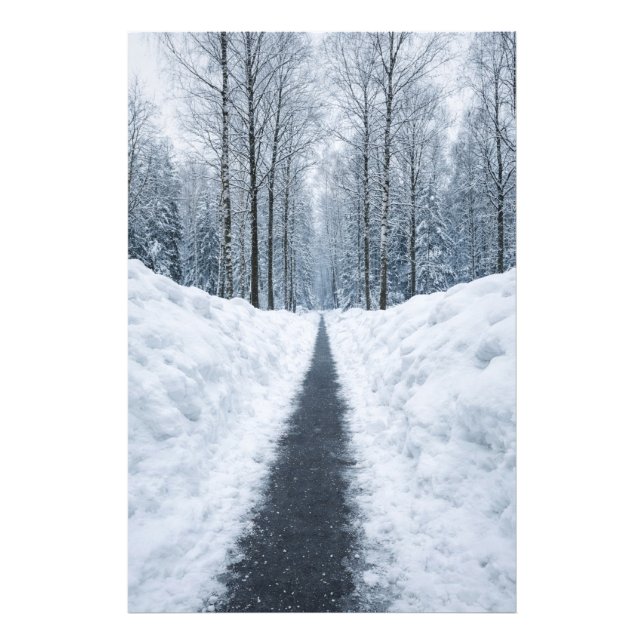 Misty Winter Forest Path Winter Landscape Poster (Front)