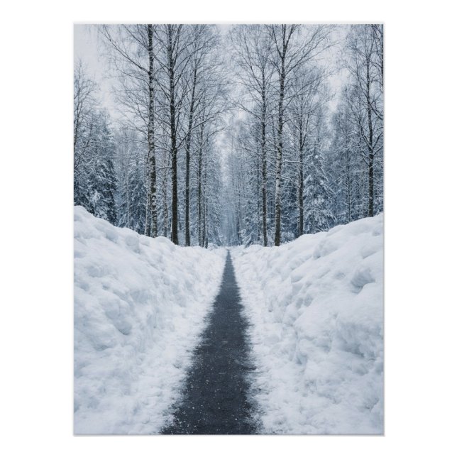 Misty Winter Forest Path Winter Landscape Poster (Front)