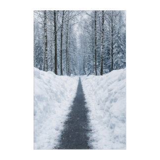 Misty Winter Forest Path Winter Landscape Poster Acrylic Print