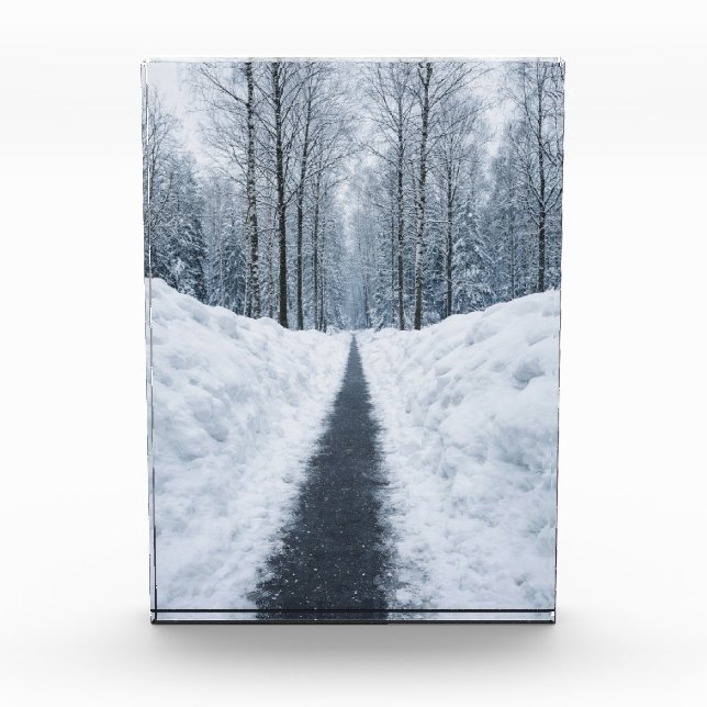 Misty Winter Forest Path Winter Landscape Poster Photo Block (Front)