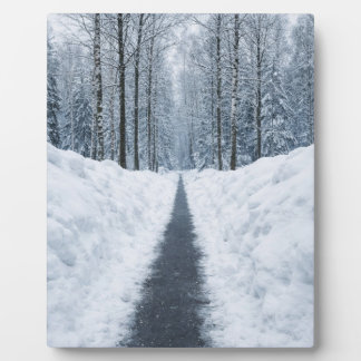 Misty Winter Forest Path Winter Landscape Poster Plaque