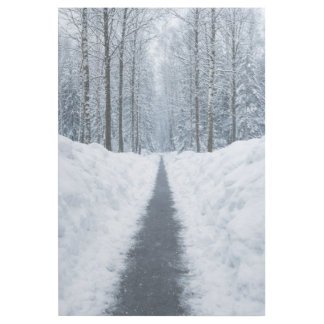 Misty Winter Forest Path Winter Landscape Wood Art