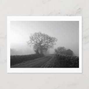 Misty Winter Morning: Cheshire, England Postcard