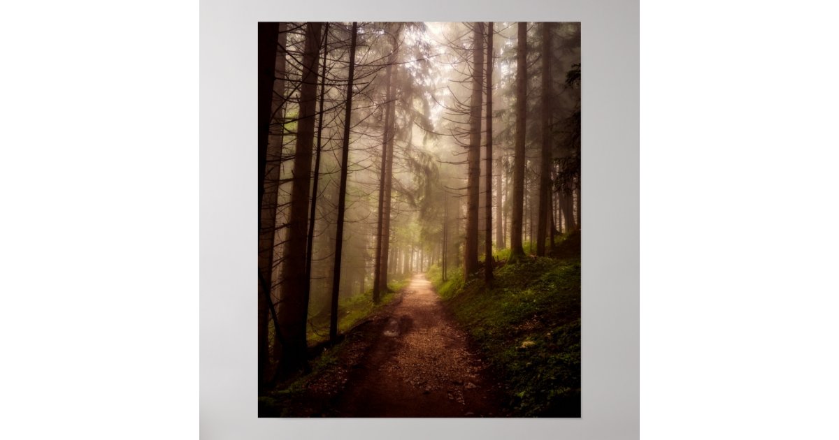 Misty Woodland Path Poster | Zazzle