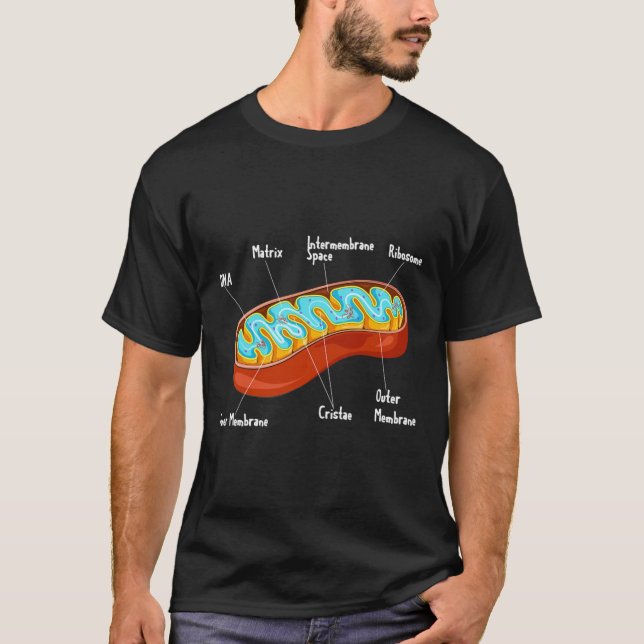 Mitochondria Cell Biology Biologist Science Teache T-Shirt (Front)