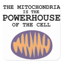 Mitochondria is The Powerhouse - Sticker