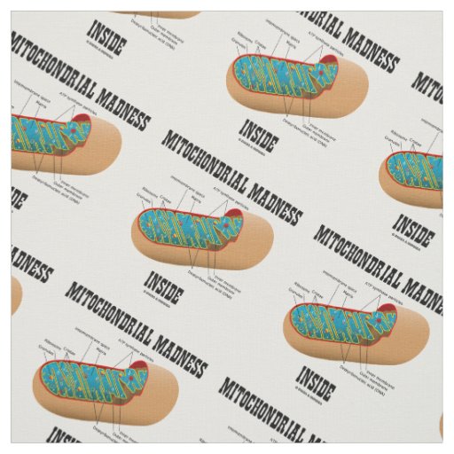 Mitochondrial Madness Inside Mitochondrion Biology Fabric