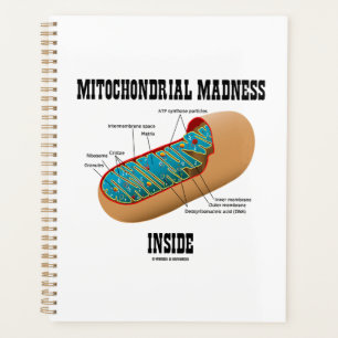 Mitochondrial Madness Inside Mitochondrion Biology Planner