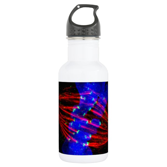 Mitotic Metaphase Water Bottle (Front)