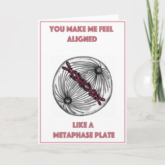 Mitotic Valentine's Day Holiday Card
