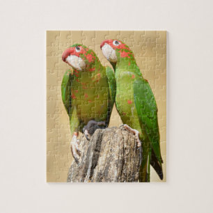 Mitred Parakeet on wood post Postcard Square Stick Jigsaw Puzzle