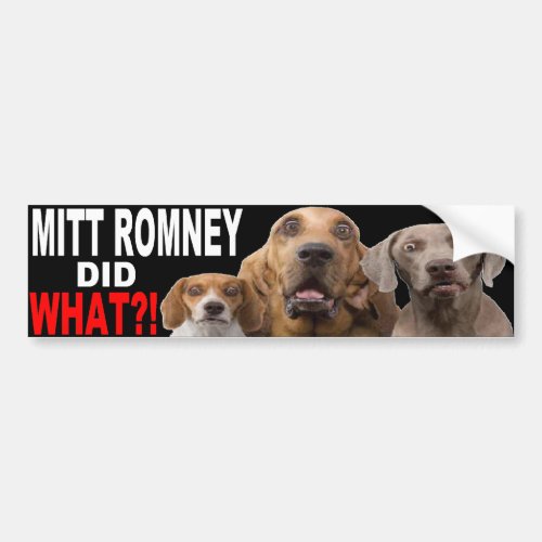 MITT ROMNEY DID WHAT Dog On Roof BUMPER STICKER