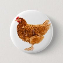 MITTENS -  CHICKEN