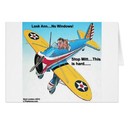 Mitts Windowless Airplane Funny Gifts & Tees Cards (Front Horizontal)