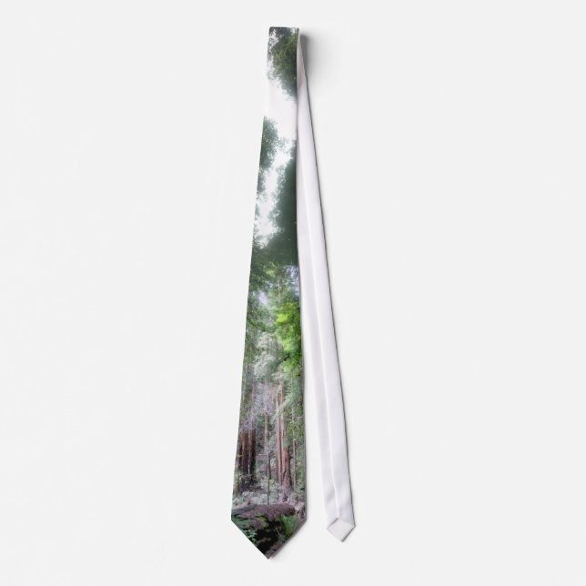 Miur Woods Tie (Front)