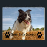 Mixed Border Collie Calendar<br><div class="desc">A great present for dog lovers out there. This border collie calendar features various images of border collies doing what they do best.. Looking awesome! Spread a little canine happiness throughout the year and enjoy each months furry offering of border collie fun.</div>