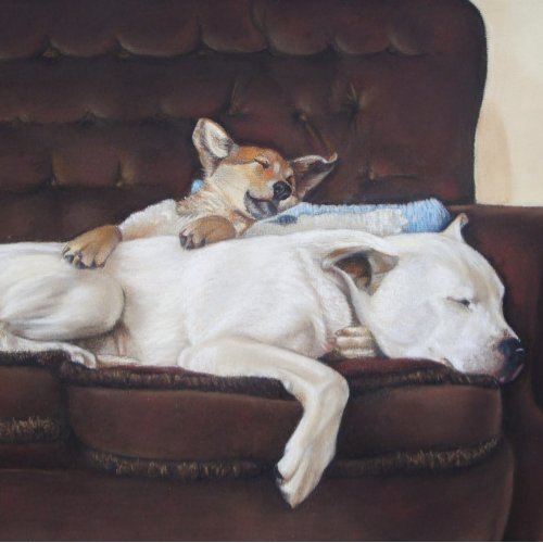 mixed breed cute puppy and sleeping white dog jigsaw puzzle