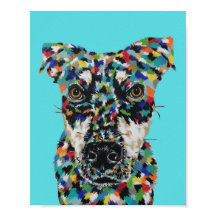 Mixed Breed Dog