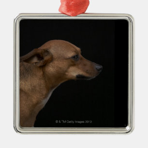 Mixed breed dog profile on black background metal ornament
