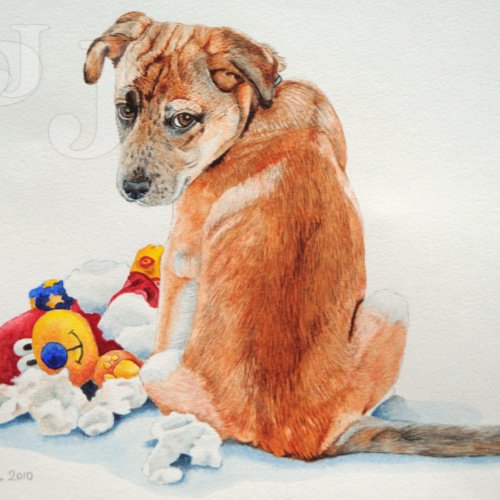 mixed breed dog with teddy cute puppy postcard