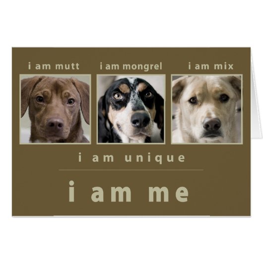 Mixed Breed: I Am Me Cards (Front Horizontal)