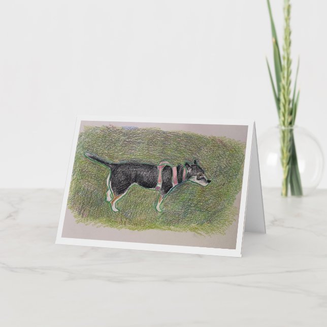 Mixed Breed Sandi Greeting Card (Front)