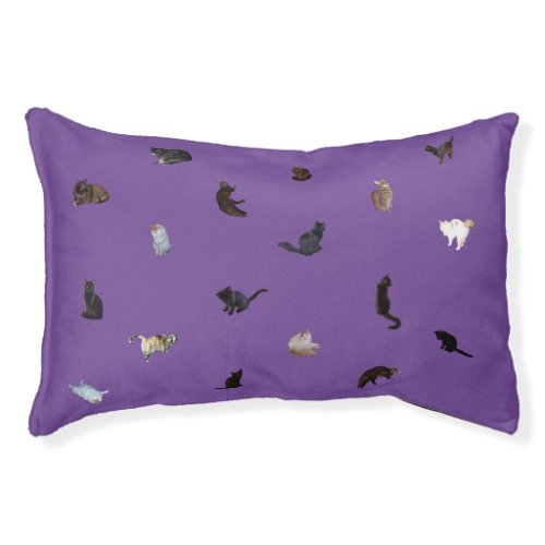 Mixed Cat Breeds Photo Cutouts on Purple  Pet Bed