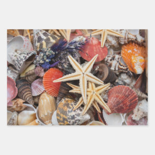 Mixed Colorful Seashells and Starfish Wrapping Paper Sheets