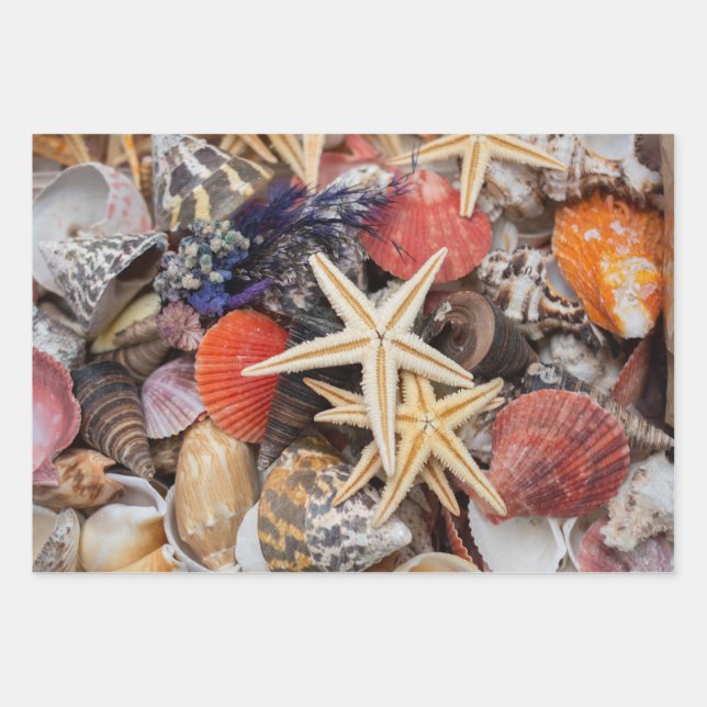 Mixed Colorful Seashells and Starfish  Wrapping Paper Sheets (Front)
