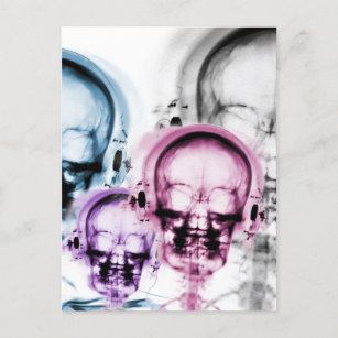 Mixed Colors X-Ray Vision Music Skeleton Skull  Postcard