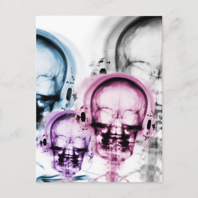 Mixed Colors X-Ray Vision Music Skeleton Skull  Postcard (Front)