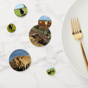 Mixed Cow Images, Confetti