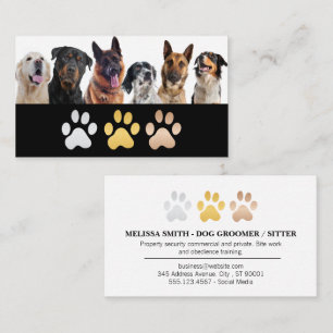Mixed Dog Breeds Animal Care Business Card