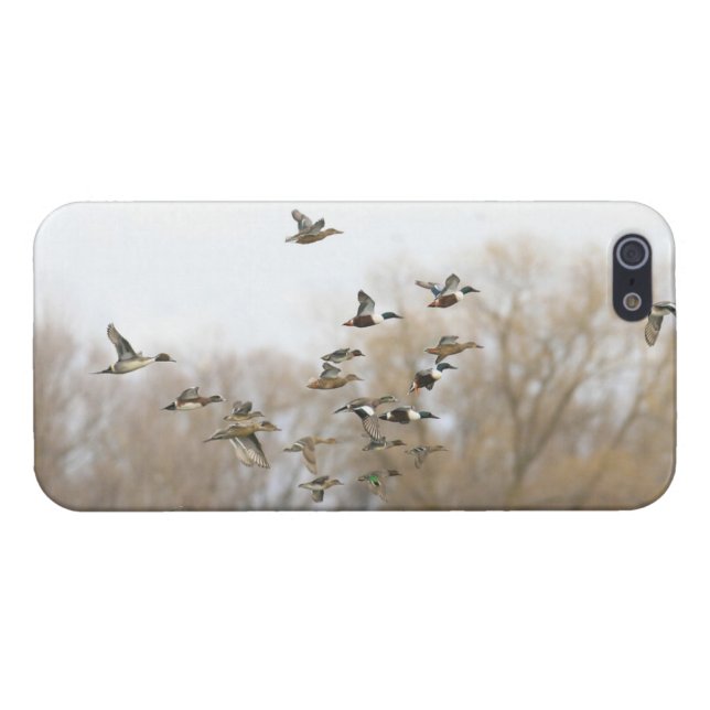 Mixed Ducks iPhone 5 Cover - Savvy (Back Horizontal)