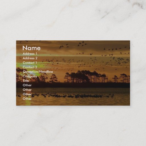 Customizable Mixed flock of waterfowl fly at Chinocoteague Business Card Template