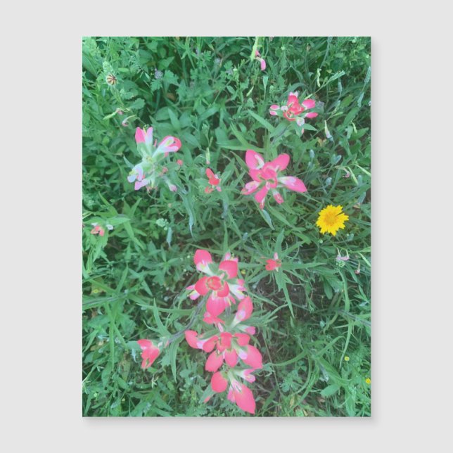 Mixed Flowers Magnet (Front)
