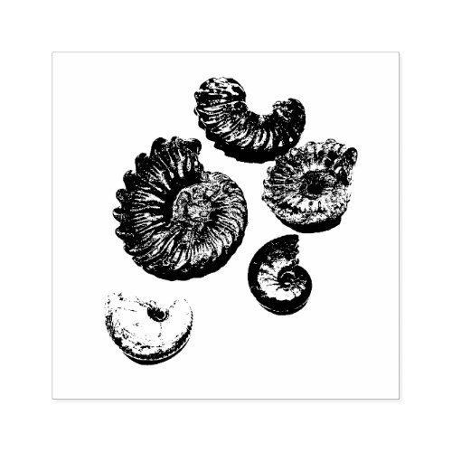 Mixed fossils rubber stamp
