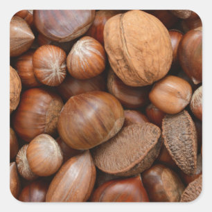 Mixed nuts square sticker