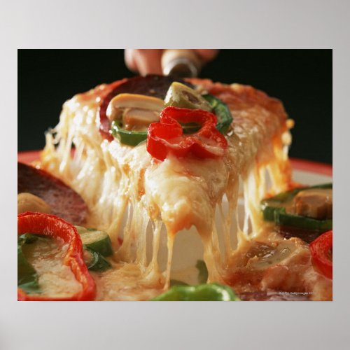 Mixed Pizza Poster