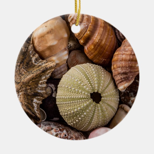 Mixed Sea Shells Decorative Ornament (Front)