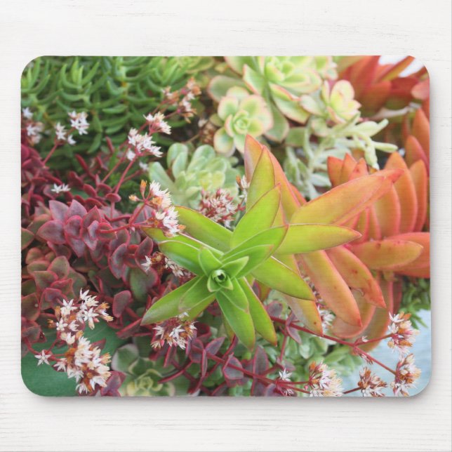 Mixed succulents mousepad (Front)