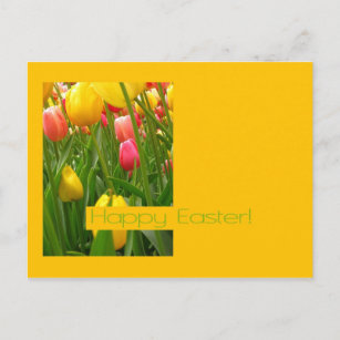 mixed tulips yellow easter greeting holiday postcard